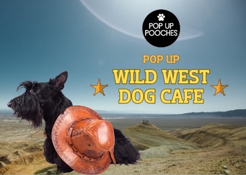 Wild West Pop Up Dog Cafe